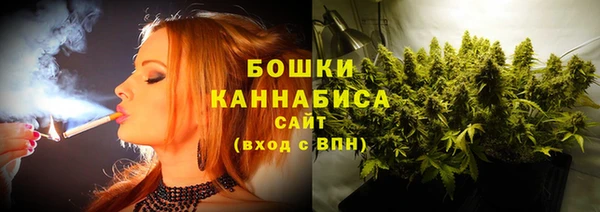 винт Мегион