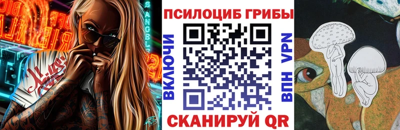 darknet Telegram  Вихоревка  Псилоцибиновые грибы мухоморы 